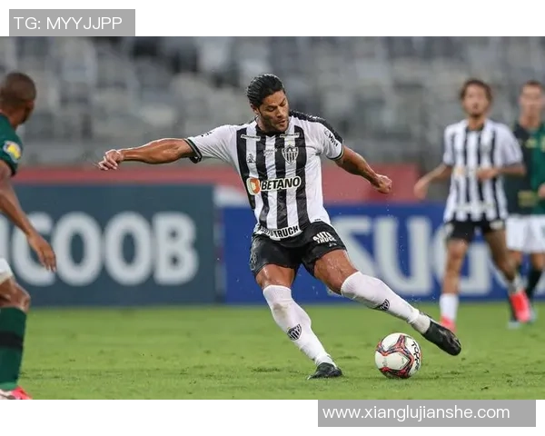 迷内罗竞技与巴西国技精彩对决直播全程回顾与分析