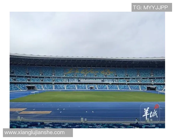 一场座谈会怎么破解“湾区体育交融”暗码？